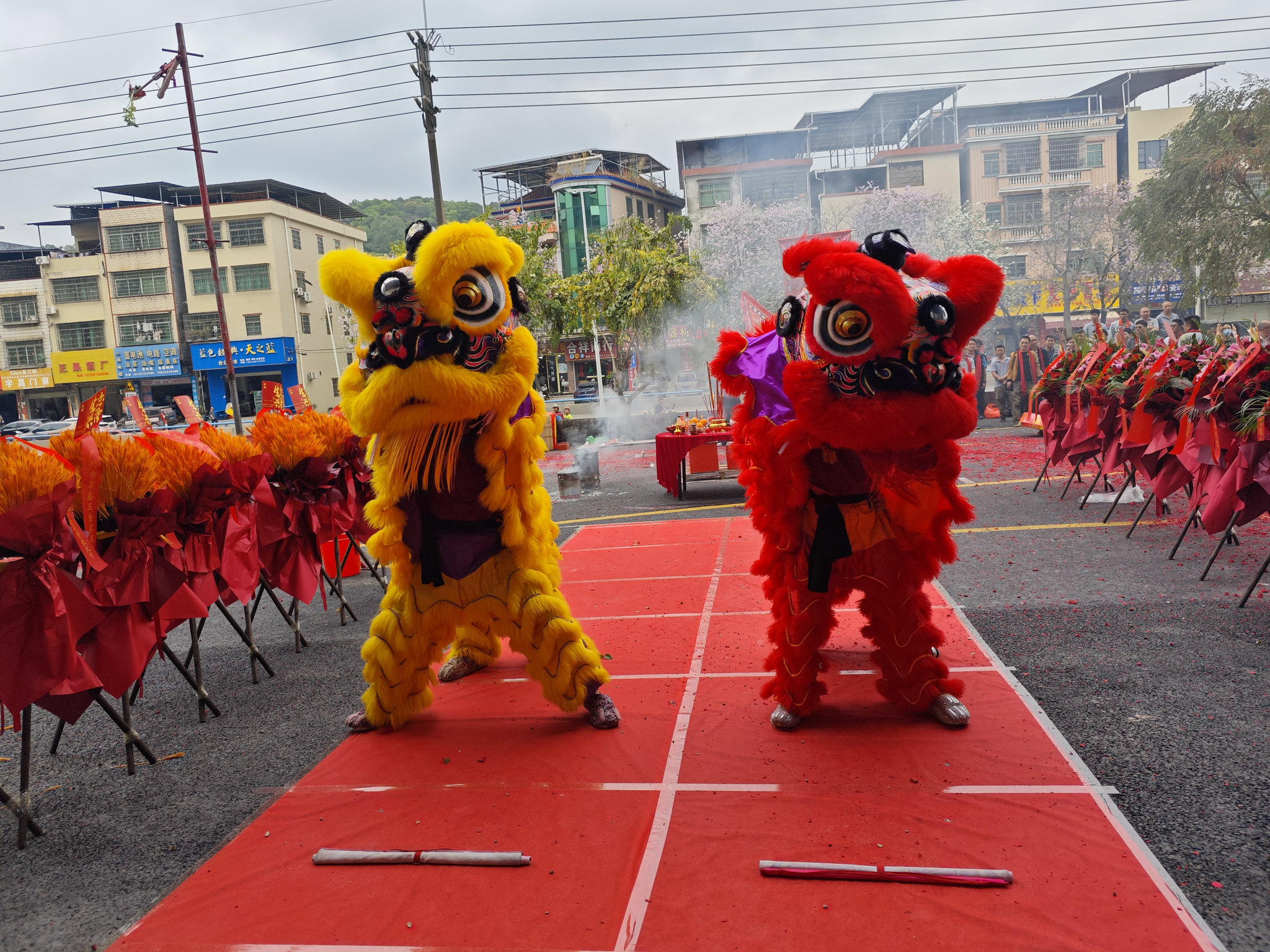 MVIMG_20260225_113431_结果.jpg MVIMG_20260225_113431_结果.jpg