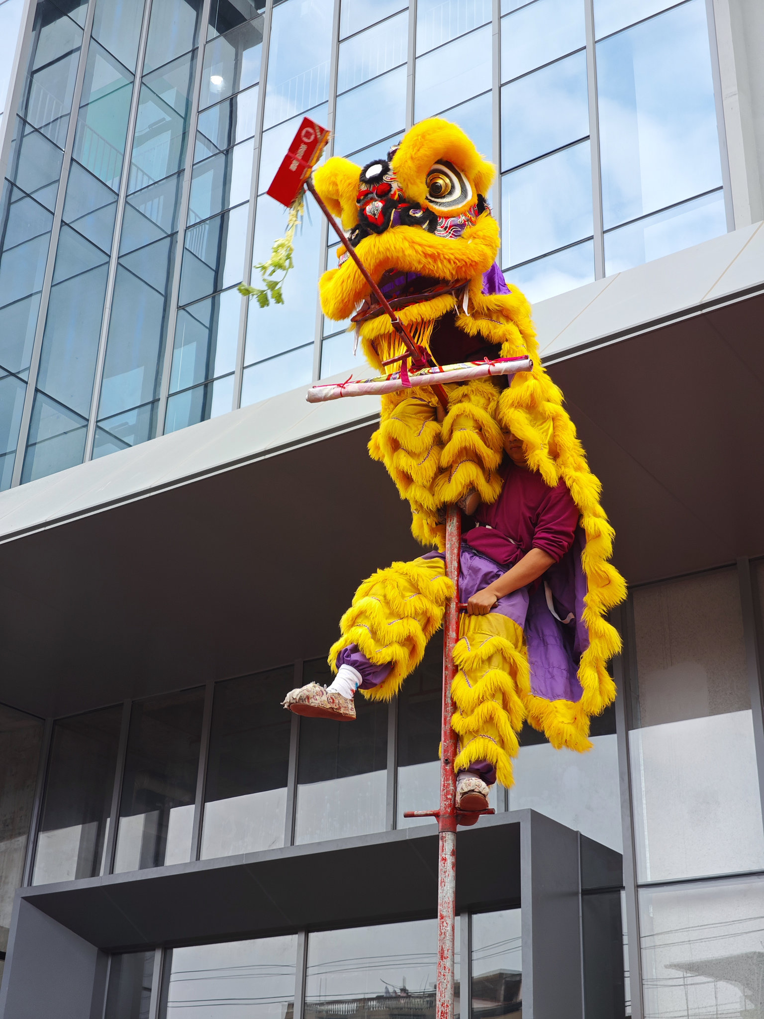 MVIMG_20260225_114213_结果.jpg MVIMG_20260225_114213_结果.jpg